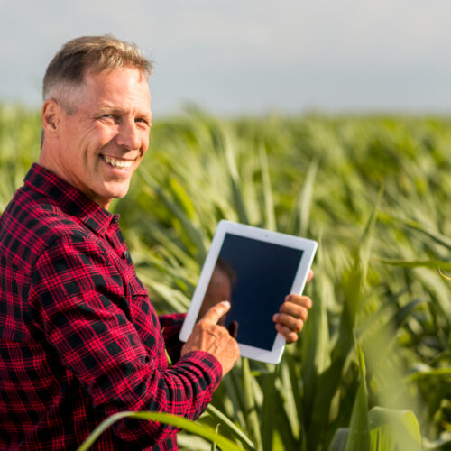 Seguro para Agronegócio